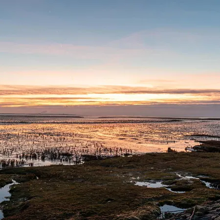 Seegras By Interhome