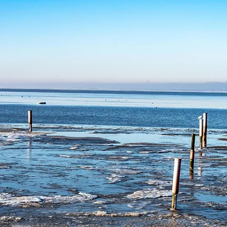 Seegras By Interhome *